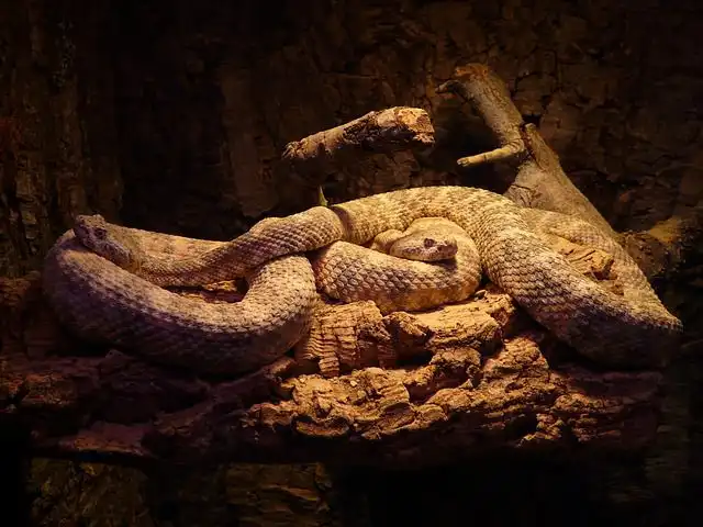 Image of Evil