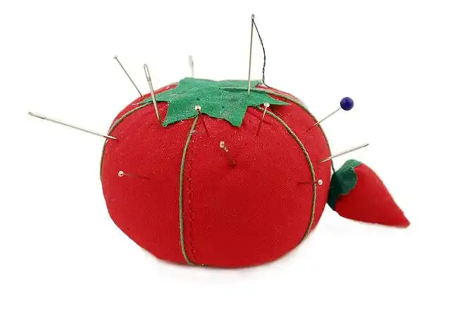 Image of Pin Cushion