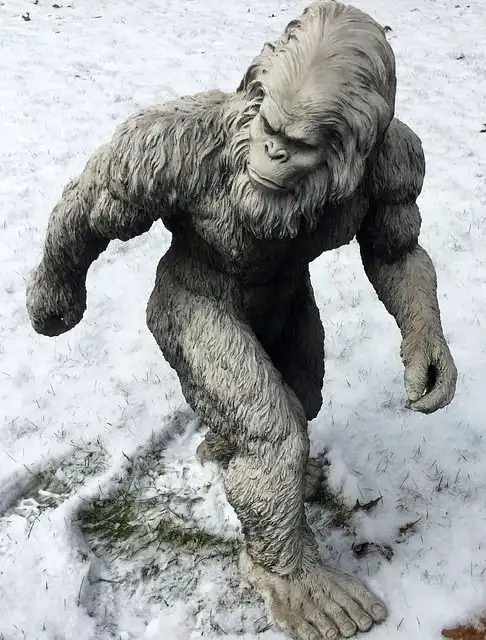 abominable-snowman image