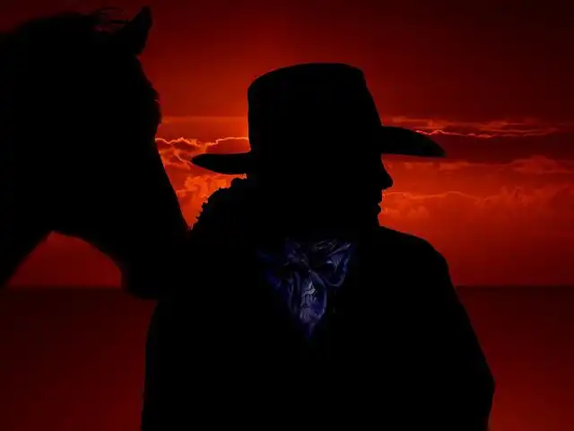cowboy image