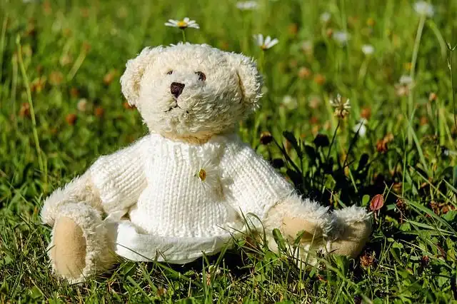 teddy-bear image